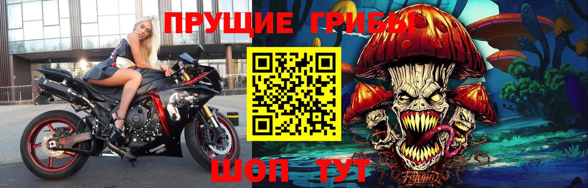 Псилоцибиновые грибы Magic Shrooms Темрюк